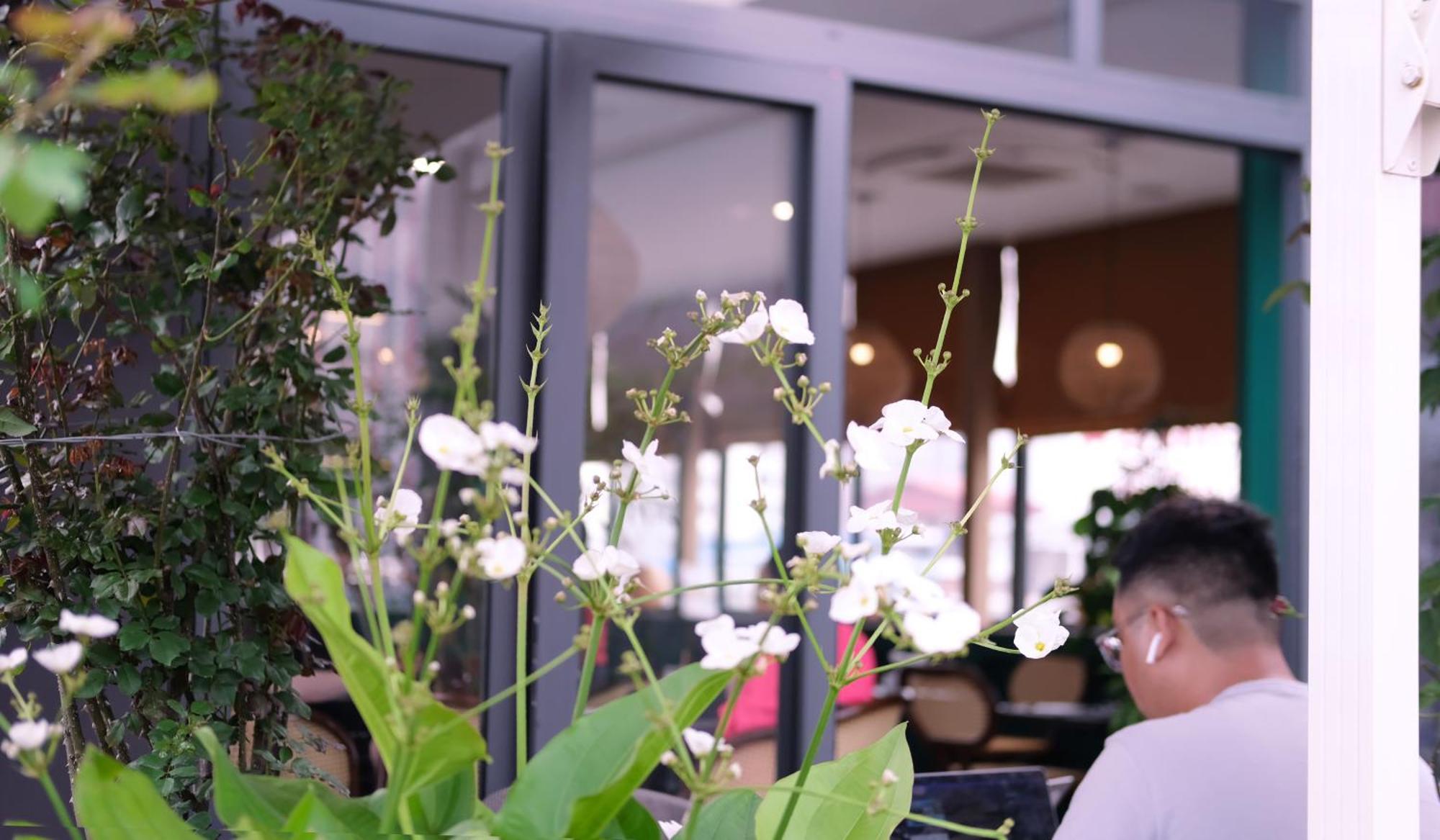 The Bloom Hanoi - Bespoke Living Eksteriør bilde