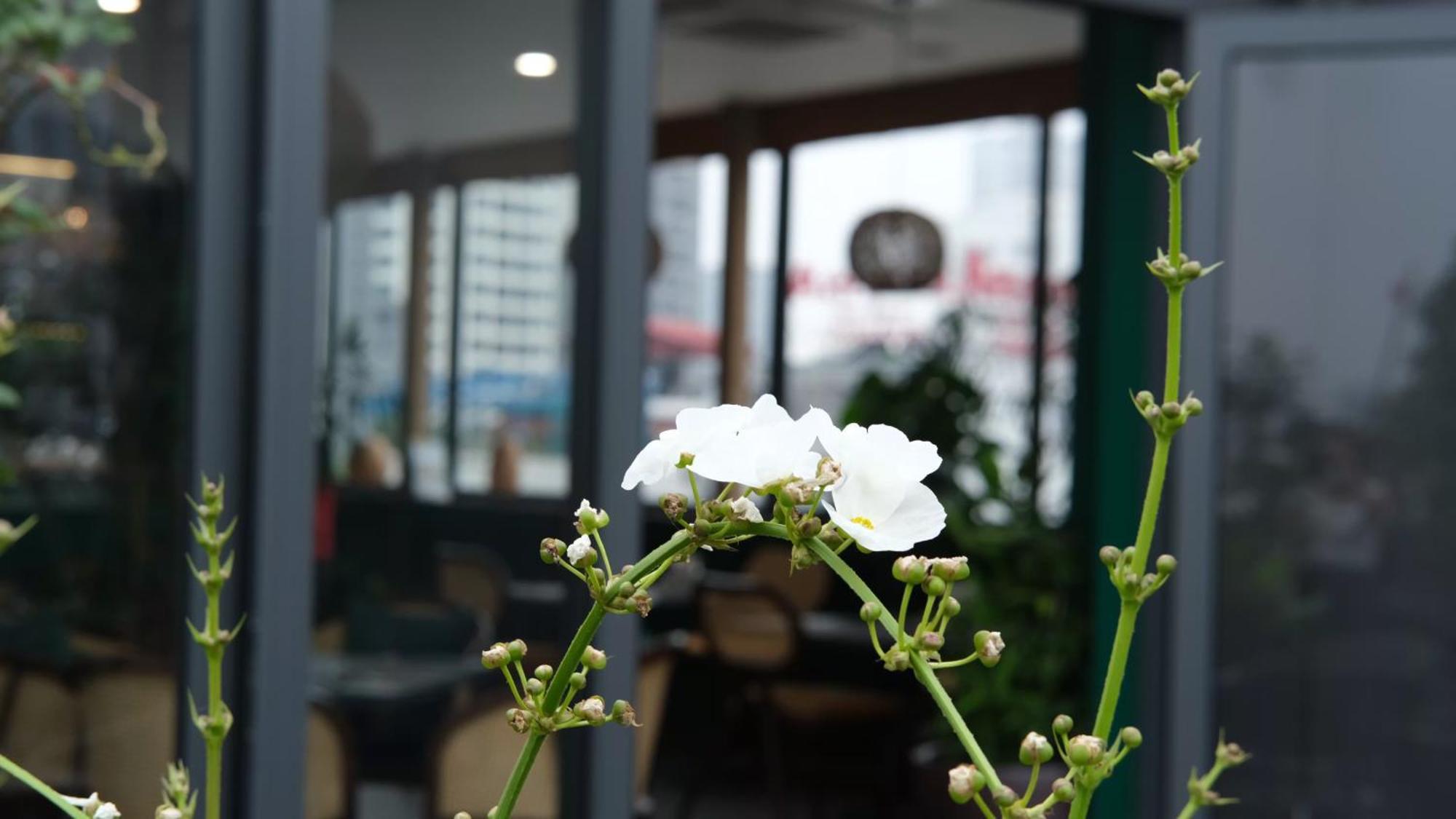 The Bloom Hanoi - Bespoke Living Eksteriør bilde